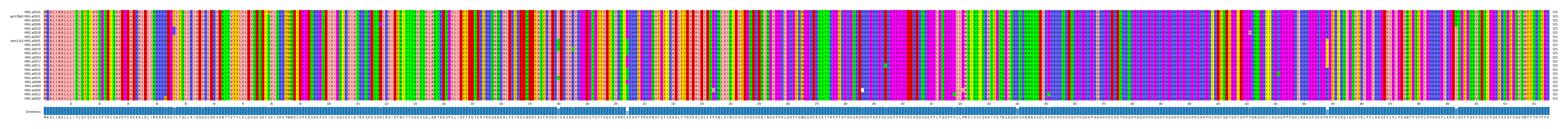 Multiple Alignments (by translate haplotype similarity)