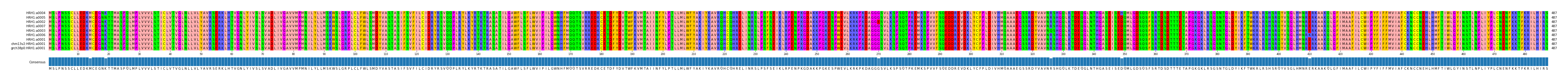 Multiple Alignments (by translate haplotype similarity)