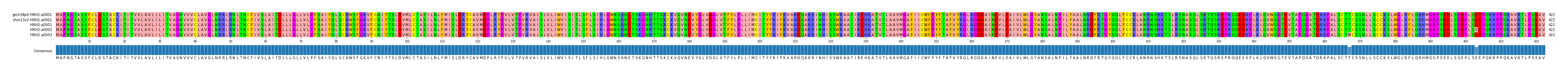 Multiple Alignments (by translate haplotype frequency)