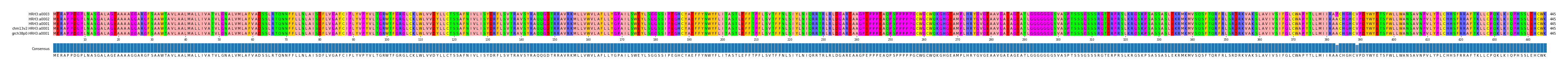 Multiple Alignments (by translate haplotype similarity)