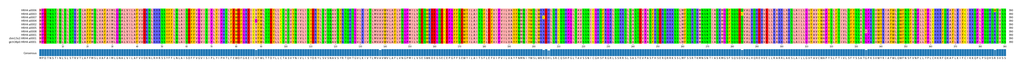Multiple Alignments (by translate haplotype similarity)