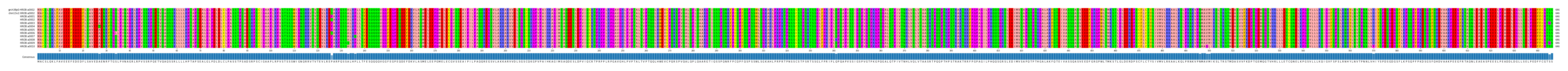Multiple Alignments (by translate haplotype frequency)