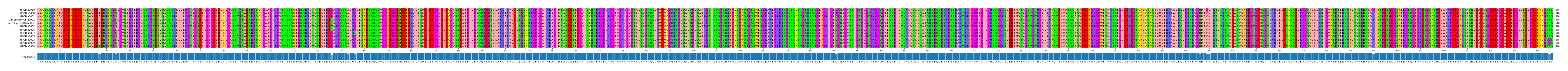 Multiple Alignments (by translate haplotype similarity)