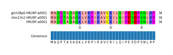 Multiple Alignments (by translate haplotype similarity)