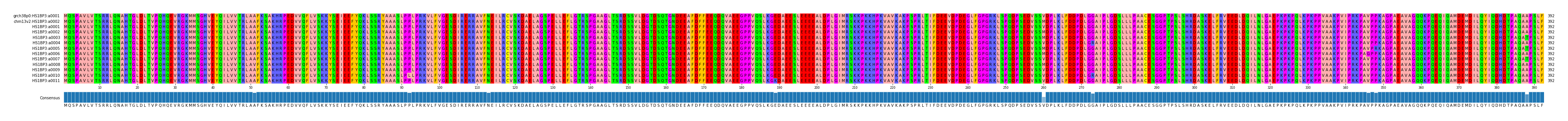 Multiple Alignments (by translate haplotype frequency)