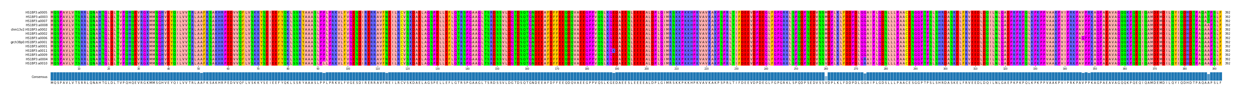 Multiple Alignments (by translate haplotype similarity)