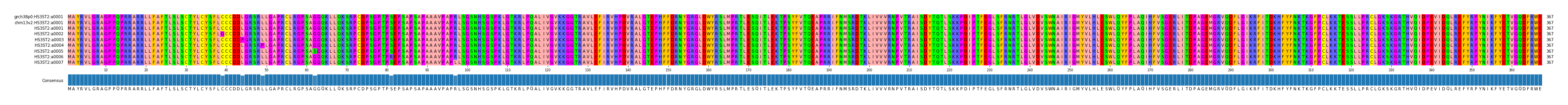 Multiple Alignments (by translate haplotype frequency)