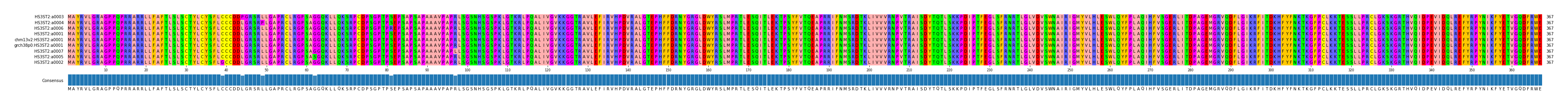 Multiple Alignments (by translate haplotype similarity)