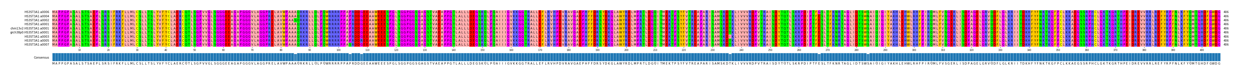 Multiple Alignments (by translate haplotype similarity)