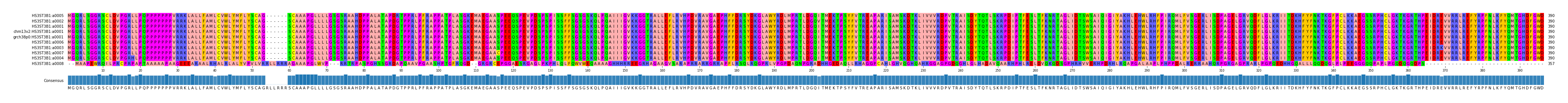 Multiple Alignments (by translate haplotype similarity)