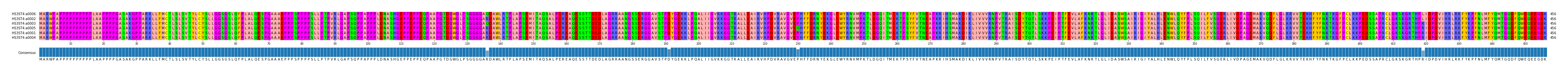 Multiple Alignments (by translate haplotype similarity)