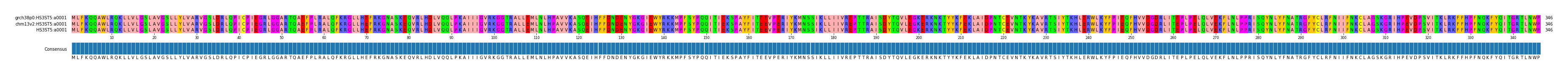 Multiple Alignments (by translate haplotype similarity)