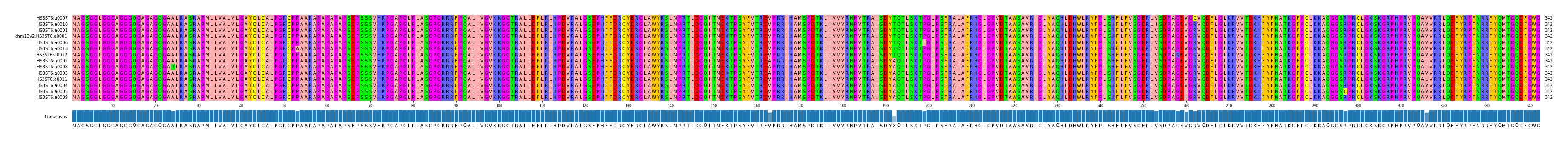 Multiple Alignments (by translate haplotype similarity)