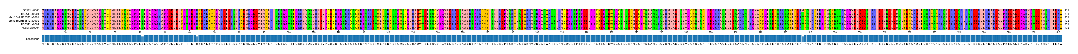 Multiple Alignments (by translate haplotype similarity)