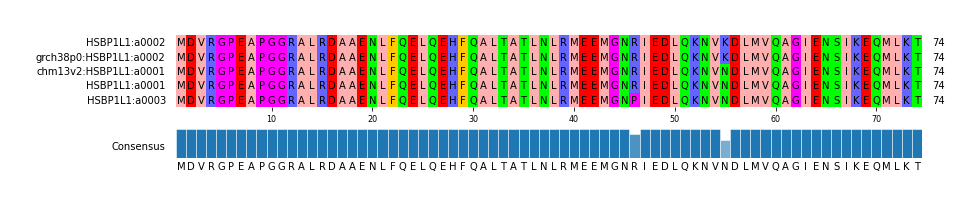 Multiple Alignments (by translate haplotype similarity)