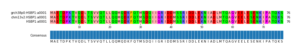 Multiple Alignments (by translate haplotype similarity)