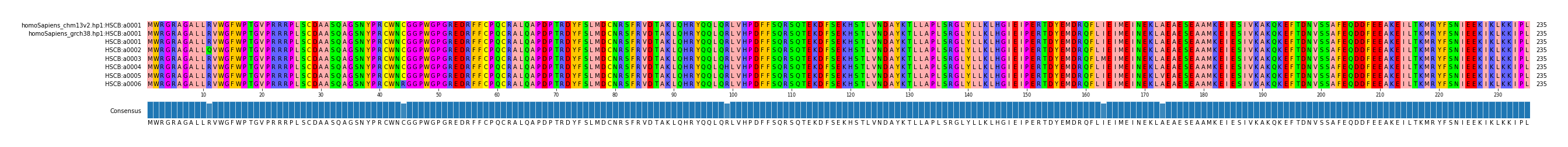 Multiple Alignments (by translate haplotype frequency)