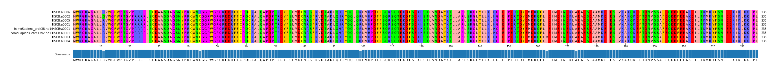 Multiple Alignments (by translate haplotype similarity)