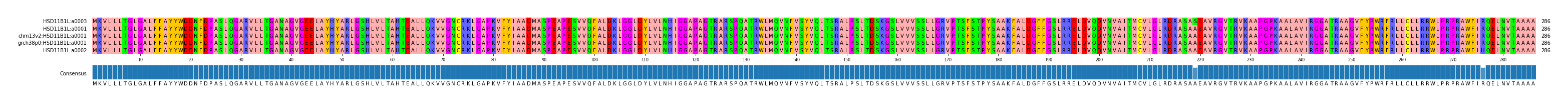 Multiple Alignments (by translate haplotype similarity)