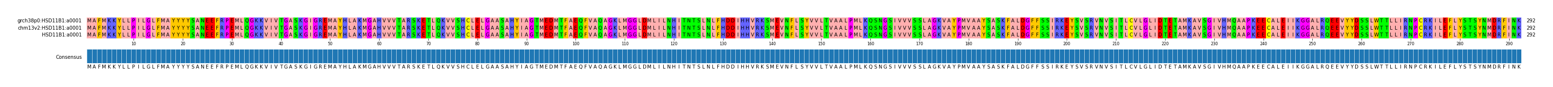 Multiple Alignments (by translate haplotype similarity)