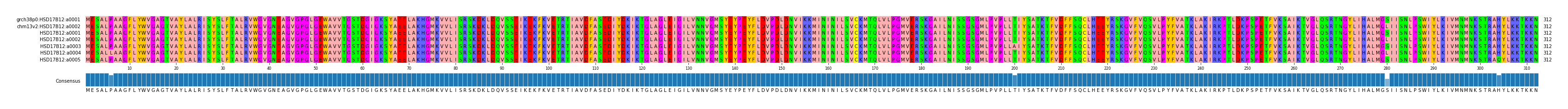 Multiple Alignments (by translate haplotype frequency)