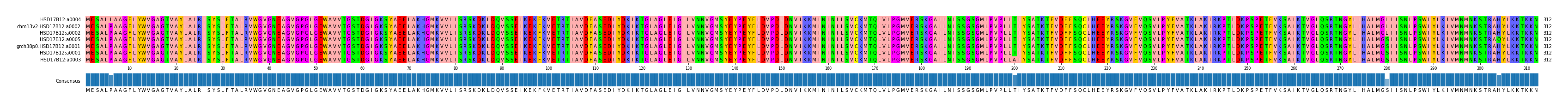 Multiple Alignments (by translate haplotype similarity)