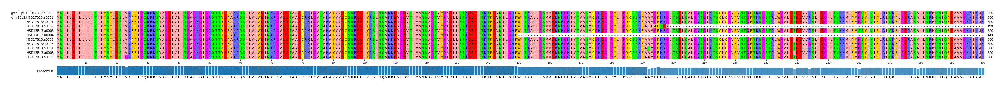 Multiple Alignments (by translate haplotype frequency)