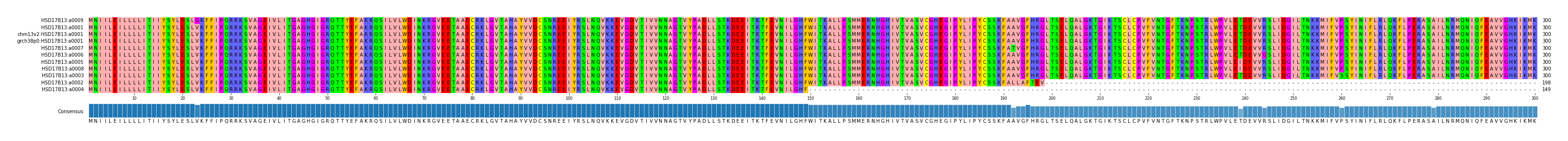 Multiple Alignments (by translate haplotype similarity)