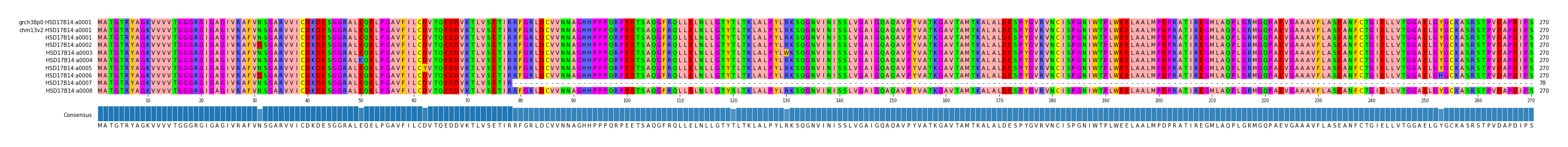 Multiple Alignments (by translate haplotype frequency)
