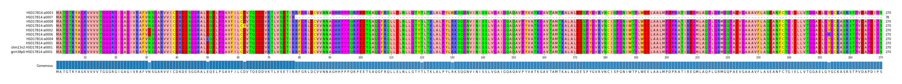 Multiple Alignments (by translate haplotype similarity)
