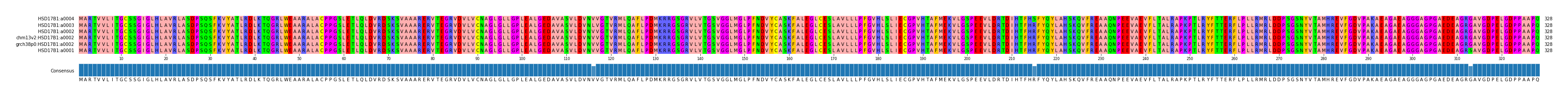 Multiple Alignments (by translate haplotype similarity)