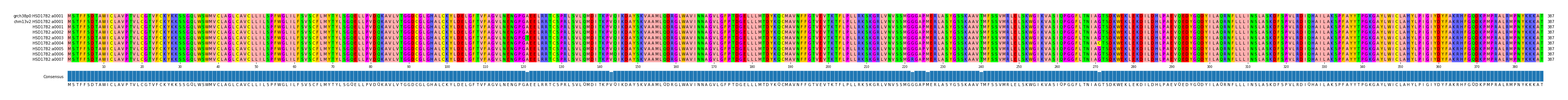 Multiple Alignments (by translate haplotype frequency)