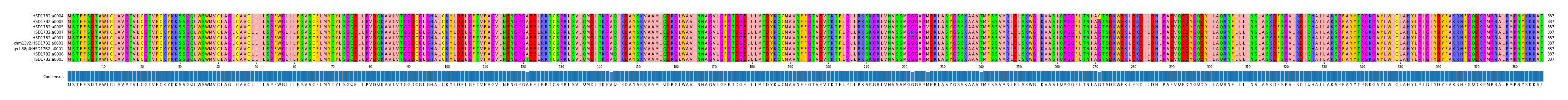 Multiple Alignments (by translate haplotype similarity)