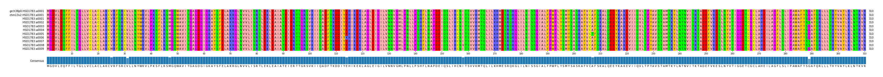 Multiple Alignments (by translate haplotype frequency)