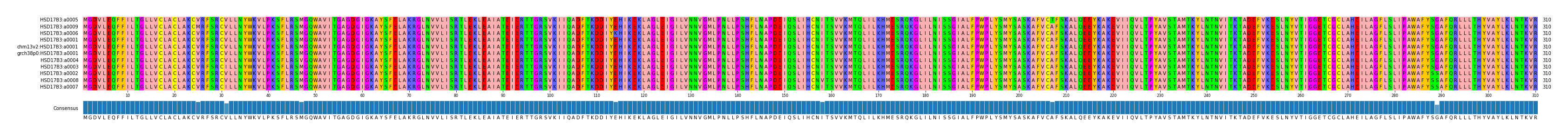 Multiple Alignments (by translate haplotype similarity)
