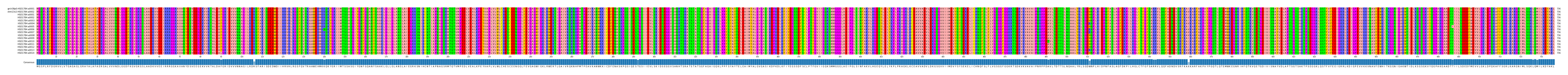 Multiple Alignments (by translate haplotype frequency)