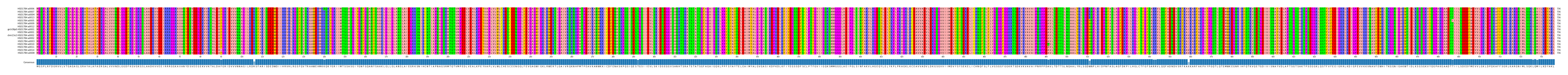 Multiple Alignments (by translate haplotype similarity)