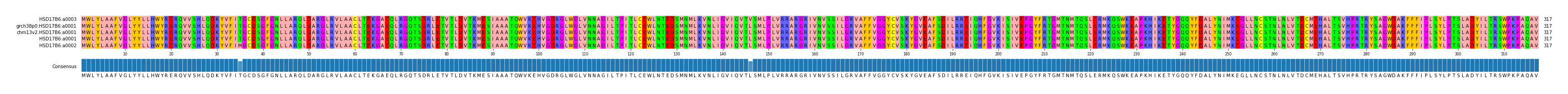 Multiple Alignments (by translate haplotype similarity)