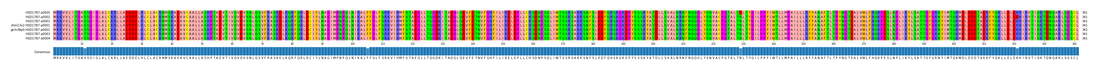 Multiple Alignments (by translate haplotype similarity)