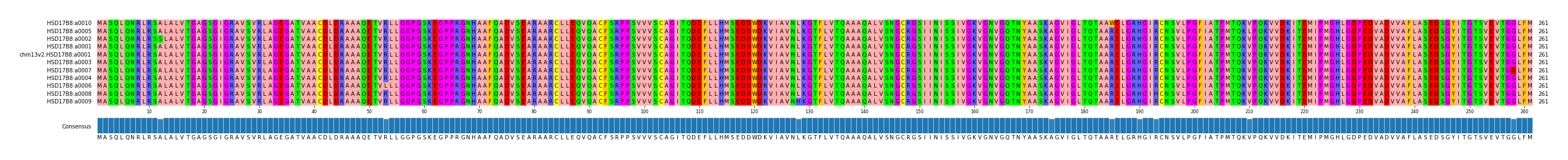Multiple Alignments (by translate haplotype similarity)