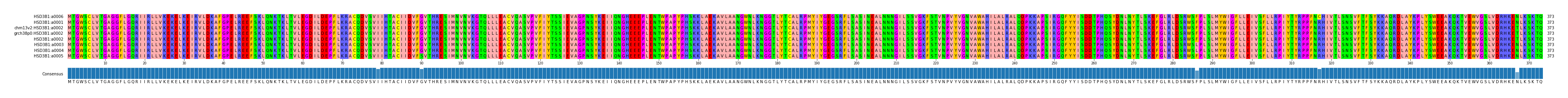 Multiple Alignments (by translate haplotype similarity)
