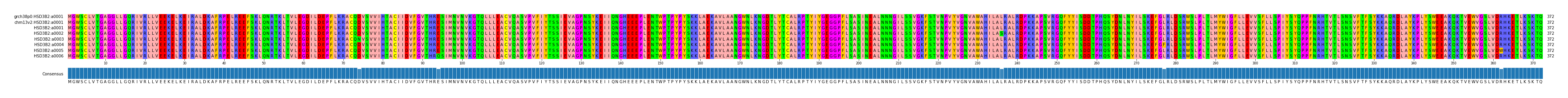 Multiple Alignments (by translate haplotype frequency)