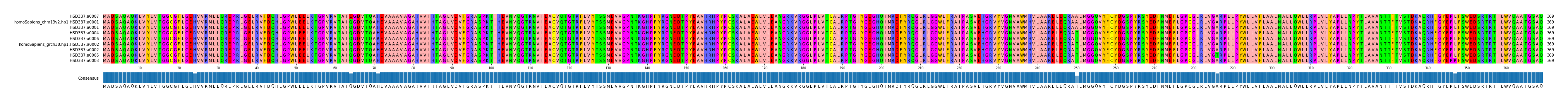 Multiple Alignments (by translate haplotype similarity)
