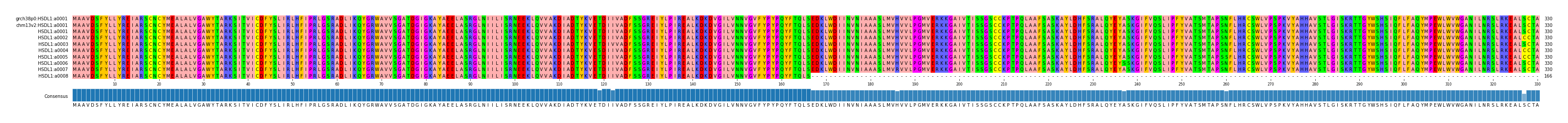 Multiple Alignments (by translate haplotype frequency)