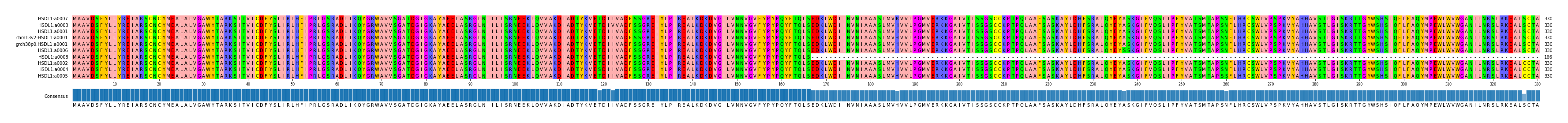 Multiple Alignments (by translate haplotype similarity)