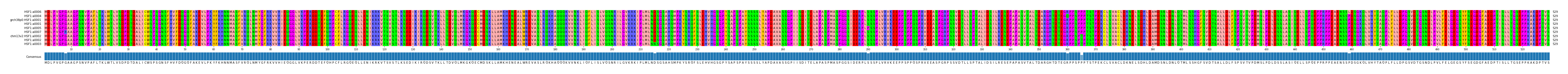 Multiple Alignments (by translate haplotype similarity)