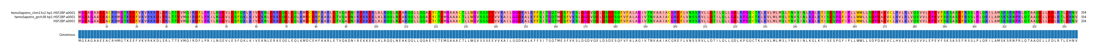 Multiple Alignments (by translate haplotype similarity)