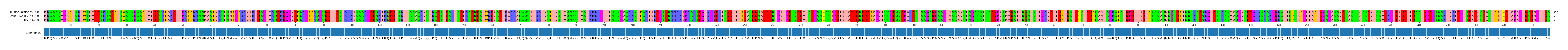 Multiple Alignments (by translate haplotype similarity)
