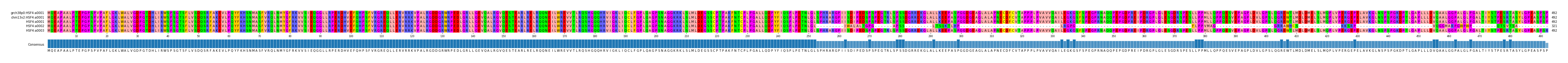 Multiple Alignments (by translate haplotype frequency)