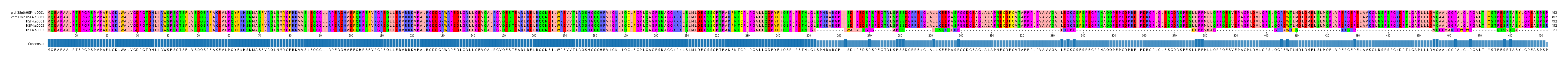 Multiple Alignments (by translate haplotype similarity)